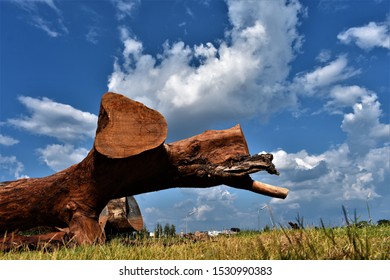 Beautiful Blue Sky White Clouds Behind Dead Log In Mid Day Sun