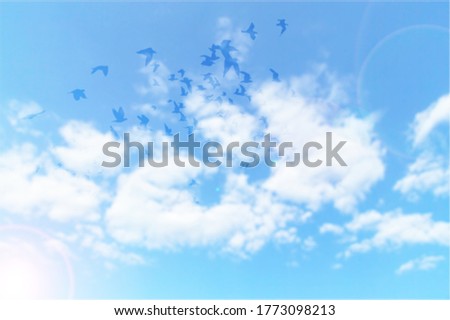 up Flying Clouds