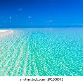 beautiful blue sun sea tropical nature background holiday luxury  resort island atoll about coral reef amazing  fresh  fantastic freedom snorkel adventure Fiji spa. Coconuts  
