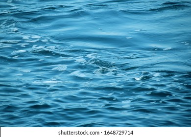 Beautiful Blue Waves In Calm Sea Water With Light Ripples And Foam, Vacation Concept, Texture