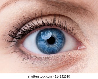 Beautiful blue woman single eye close up