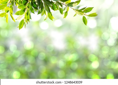 Beautiful blur for background - Shutterstock ID 1248643039