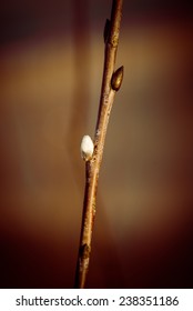 Beautiful Blur Dry Grass And Bent Background - 80's Retro Vintage Color Film Effect