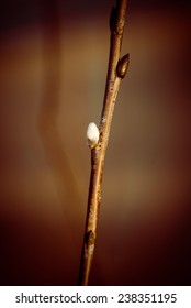 Beautiful Blur Dry Grass And Bent Background - 80's Retro Vintage Color Film Effect