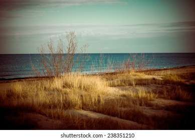 Beautiful Blur Dry Grass And Bent Background - 80's Retro Vintage Color Film Effect