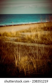 Beautiful Blur Dry Grass And Bent Background - 80's Retro Vintage Color Film Effect