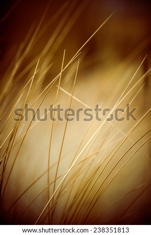 Similar – Image, Stock Photo western beach