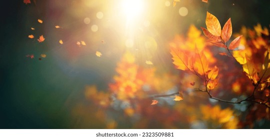 Beautiful blurred autumn background with yellow-gold leaves in the rays of sunlight on a dark natural background. - Shutterstock ID 2323509881