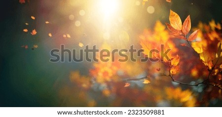 Beautiful blurred autumn background with yellow-gold leaves in the rays of sunlight on a dark natural background.