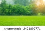 Beautiful blurred background image of spring nature with a neatly trimmed lawn surrounded by trees against a blue sky with clouds on a bright sunny day. garden and green grass, the sun shines.