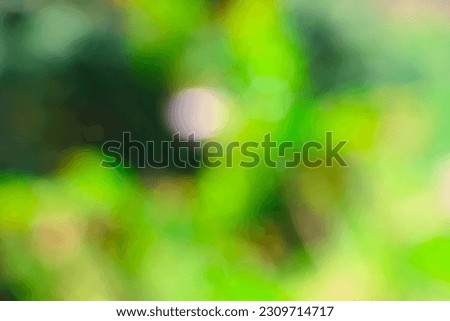 Beautiful blurred background image of spring nature,blur natural and light background,defocused blur background,holiday wallpaper,Green bokeh abstract background blur