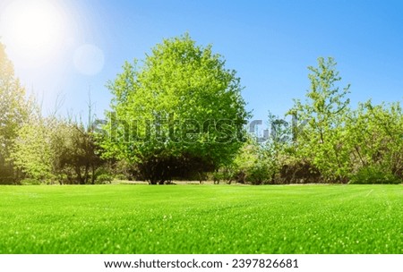 Beautiful blurred background image of spring nature with surrounded by trees against a blue sky with clouds on a bright sunny day.
