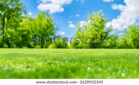 Beautiful blurred background image of spring nature with neatly trimmed lawn surrounded by trees against a cloudy blue sky on a sunny day.