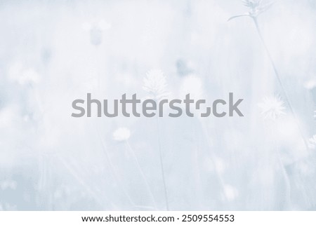 Similar – Foto Bild Schnee und Eis Landschaft