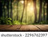tree forest background