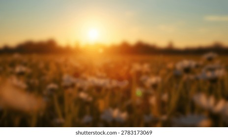 A beautiful, blurred image of a sunset over a field of flowers. The golden light bathes the scene, creating a serene and tranquil atmosphere.