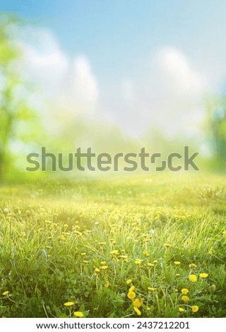 Similar – Image, Stock Photo Bright yellow fields of daffodils in bloom near the Dutch city of Alkmaar in the Netherlands