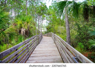 A beautiful boardwalk and hiking trail in Florida - Shutterstock ID 2207665765