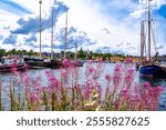 Beautiful boats and Stockholm archipelago