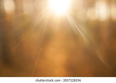 Beautiful bokeh of light shining through the tree. yellow or golden trees. sun rays. blurred defocused image. autumn season