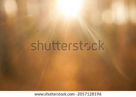 Beautiful bokeh of light shining through the tree. yellow or golden trees. sun rays. blurred defocused image. autumn season