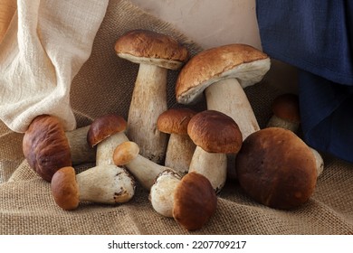 Beautiful Boletus Edulis Mushroom Banner On Old Rustic Tablecloths.