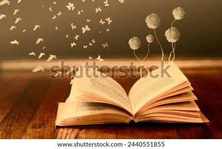 beautiful book picture for display 
