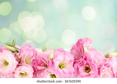 Beautiful Boquet  On Light Abstract  Background