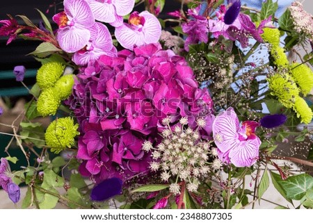 a beautiful bouquet of blue and purple flowers An original composition of blue and bluish flowers of the phalaenopsis hydrangea orchid