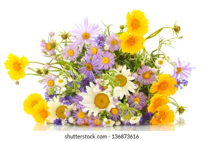 Beautiful Bouquet Of Bright  Wildflowers, Isolated On White