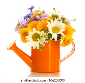 beautiful bouquet of bright  wildflowers in watering can, isolated on white
