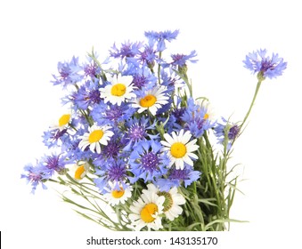 木の枠 花の咲く野草の縁 薬草 白い背景に水彩手描きのイラスト のイラスト素材 Shutterstock