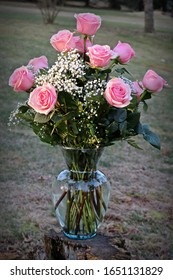 A Beautiful Bouquet Of A Dozen Blooming Gorgeous Roses Outside With A Sunny Background.