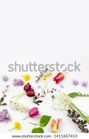 Similar – Honig im Glas mit Schöpflöffel, Bienenwaben und wilden Blumen