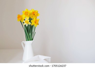 Beautiful bouquet of fresh yellow daffodil flowers in full bloom in vase against white background, close up. Space for text. Spring blossoms. Mother's day card. Still life with bunch of narcissuses.