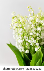 Beautiful bouquet of lilies-of-the-valley on a white background, side view, close up. Greeting card, spring background.