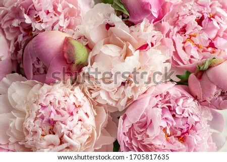 Beautiful bouquet of pink peonies.Floral shop concept . Beautiful fresh cut bouquet. Flowers delivery