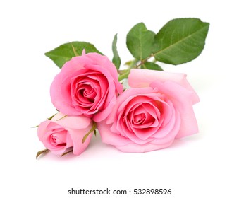 beautiful bouquet of pink rose flowers isolated on white background