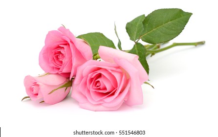 beautiful bouquet of pink rose flowers isolated on white background