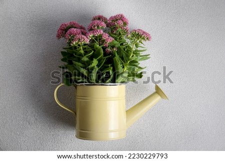 Beautiful bouquet of pink wildflowers in watering can on white table, top view