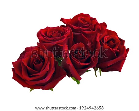 beautiful bouquet of red roses arrangement isolated on black background