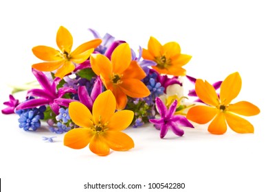 Beautiful Bouquet Of Spring Flowers On A White Background