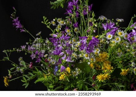 Beautiful bouquet of wildflowers on a black background. Blur and selective focus.