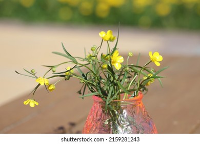Beautiful bouquet of yellow buttercups flowers. Ranunculus acris meadow buttercup, tall buttercup, common buttercup, giant buttercup. Selective focus