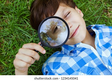 185,427 Observe nature Images, Stock Photos & Vectors | Shutterstock