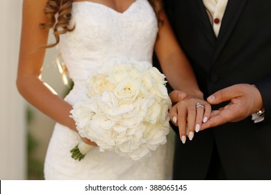 Beautiful bridal couple holding hands on wedding day