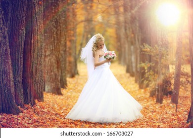 Beautiful Bride In The Autumn Park