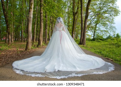 Bride Veil Falls Images Stock Photos Vectors Shutterstock