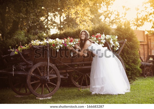 Beautiful Bride Country Style Wedding Dress Stock Photo Edit Now