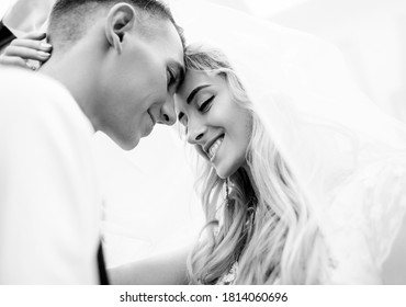 577 Couple Kiss Cartoon Stock Photos, Images & Photography | Shutterstock